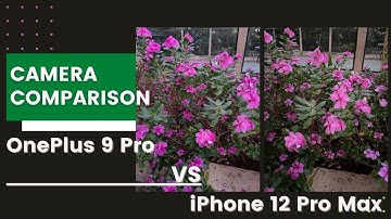 OnePlus 9 Pro vs iPhone 12 Pro Max | Camera Comparison