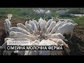 Сімейна молочна ферма. Бізнес-план