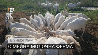 Сімейна молочна ферма. Бізнес-план