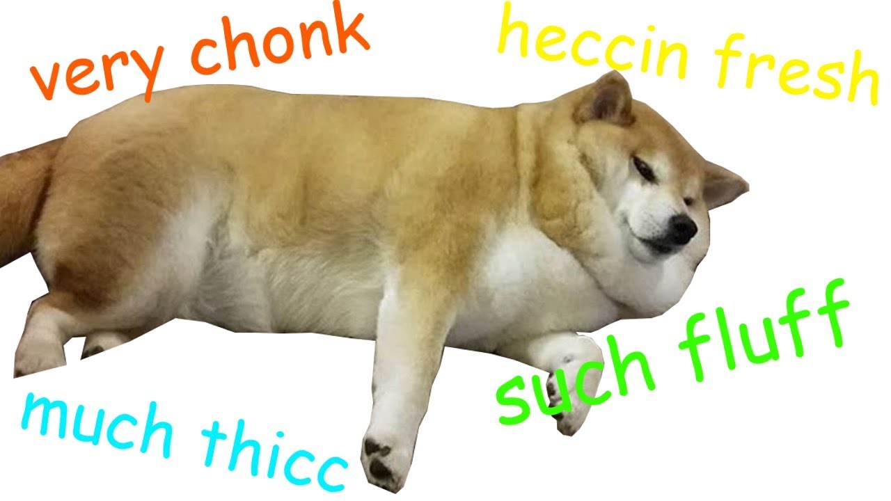 What does Chonks mean?