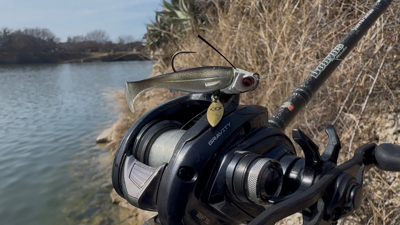 EPIC NIGHT BITE On The LIBERO! |Fort Worth BFS|