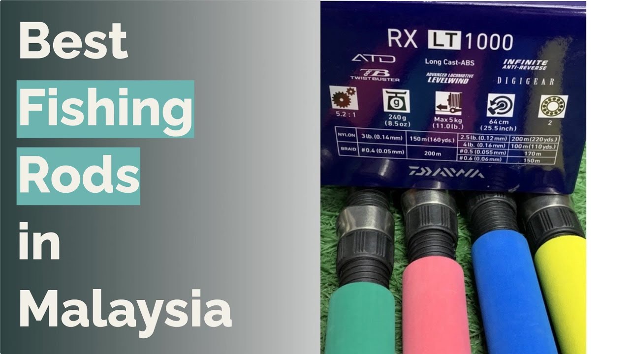🌵 7 Best Fishing Rods in Malaysia YouTube