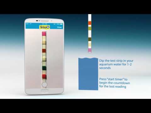 Tetra Easy Strips Color Chart 6 In 1