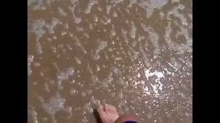Video sample Meizu m1 480p