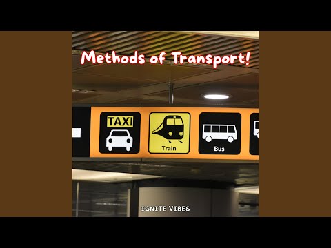 Methods Of Transport 