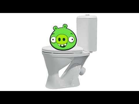 свинья застряла в туалете - YouTube