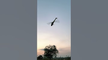 auto take-off and pilot devil380 fly control H1 GPS #shorts