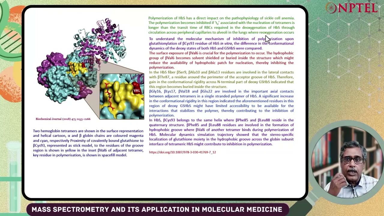 Inhibition of sickle hemoglobin polymerisation upon glutathionylation #swayamprabha