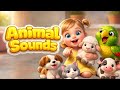 Lily & Pico: Farm Animal Sounds 🐑 | Toddler Learning Video