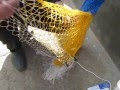 Как сделать кастинговую сеть (How to make a casting net)