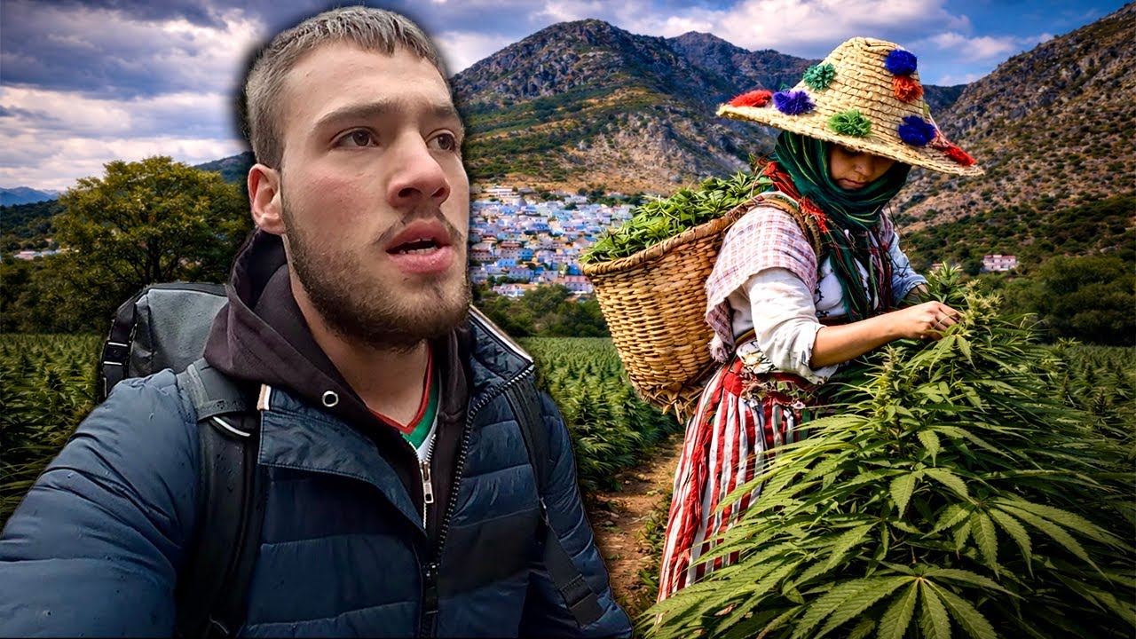 Ich untersuche Marokkos illegale Brokkoli Region🌿