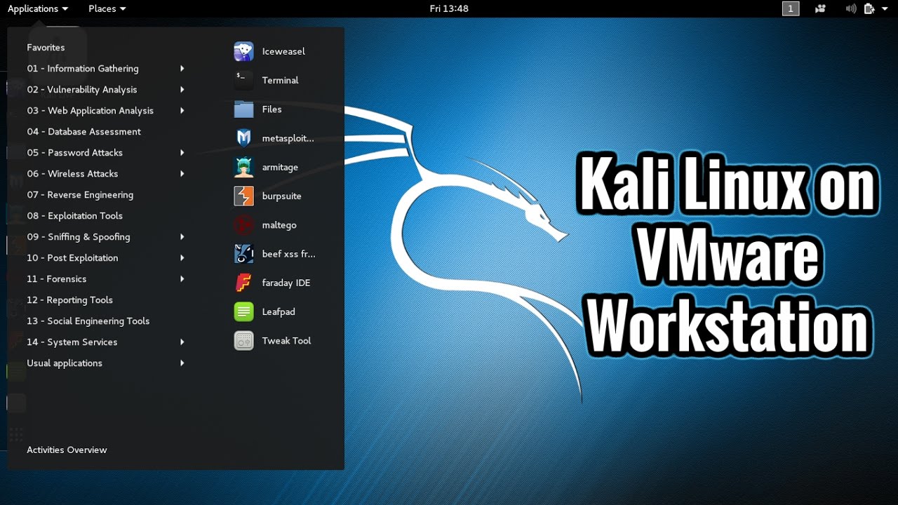 Kali Linux 2017. Kali Linux installation. VMWARE Иконда Linux.