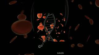 Rh Null The Rarest Blood Type On Planet Earth