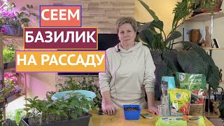 КАК ПАРВИЛЬНО ПОСЕЯТЬ БАЗИЛИК!