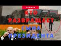 Кто развращает сына Президента - Колю Лукашенко /ТЛУМАЧ