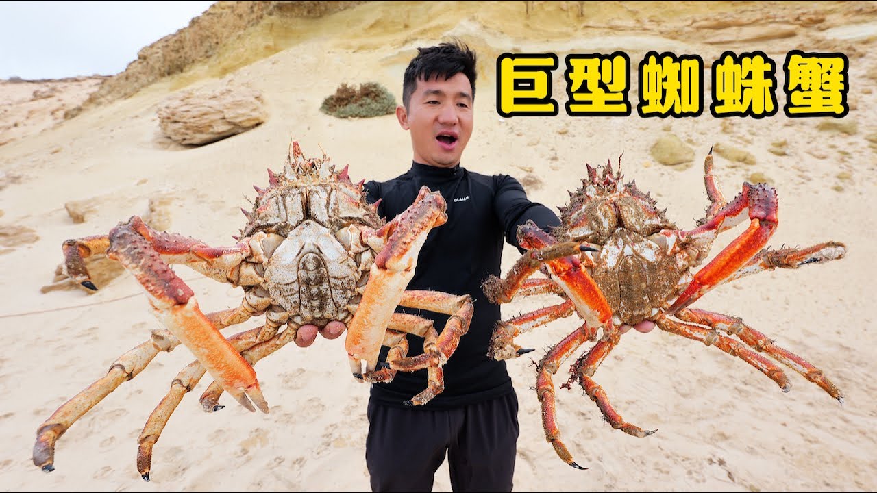 《摩洛哥》第2集：勇闯撒哈拉沙漠，只为挑战大西洋的巨型蜘蛛蟹！#撒哈拉沙漠 #抓龙虾 #非洲 #赶海 #抓螃蟹 #蜘蛛蟹 #outdoors #ocean