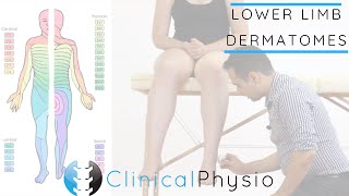 Lower Limb Dermatomes | Clinical Physio