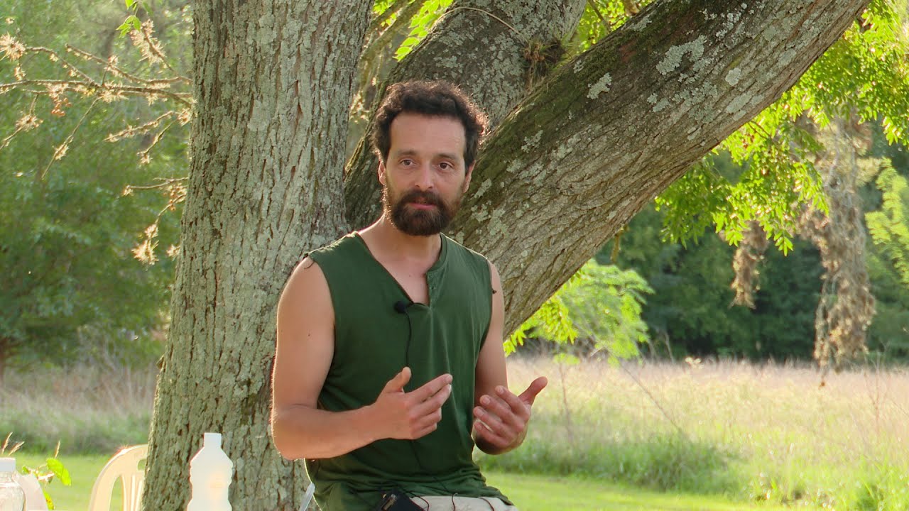 Emanuel Canales apicultura natural