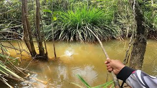 SPOT MANCING DI TENGAH HUTAN DAPAT BANYAK LANGSUNG DI BAKAR II TEKNIK NAJUR