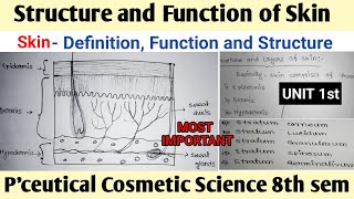 Structure and function of skin in cosmetic science | skin structure and function in hap