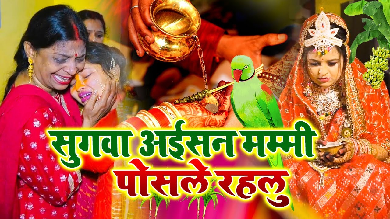 💔 | दर्द भरा बेटी विवाह गीत | सुगवा अईसन मम्मी पोसले रहलु | Sunita Devi | Lok Geet Hits |Shadi Vivah