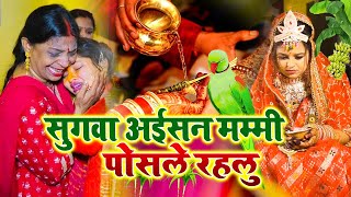 💔 | दर्द भरा बेटी विवाह गीत | सुगवा अईसन मम्मी पोसले रहलु |  | Lok Geet Hits |Shadi Vivah