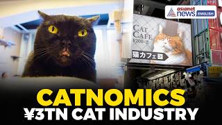 Catnomics: How Japan's Obsession With Cats Built a ¥3 Trillion