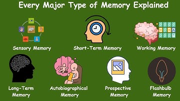 Every Major Type of Memory Explained in 7 Minutes