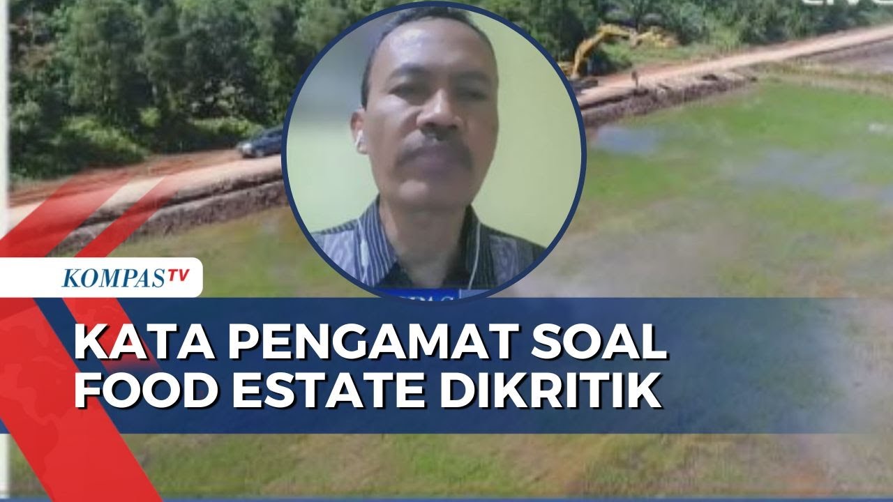 Begini Kata Pengamat Pertanian soal Program Lumbung Pangan Food Estate Dikritik