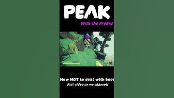 #foryou #peakgame #friends #funny #gameplay #memes #games #gaming #peak #fyp