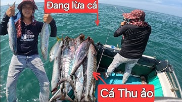 Câu cá Thu ảo cách bờ 500 mét, câu Light jig biển Mũi Né.@