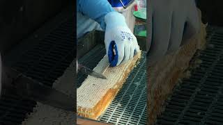 Watch Amazing Honeycomb Cutting / Fresh Raw Honey 🍯🐝 #shorts