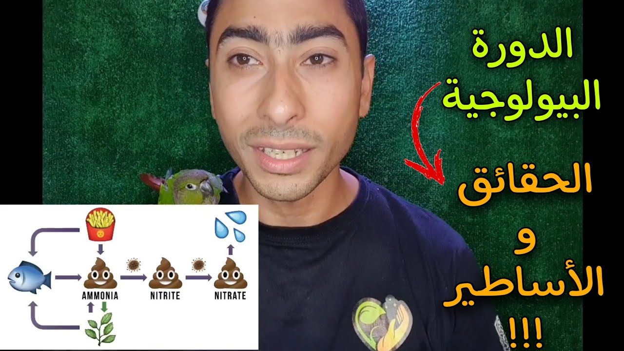 حقائق و اساطير الدورة البيولوجية لحوضك