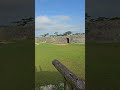 ムカデ発見しました