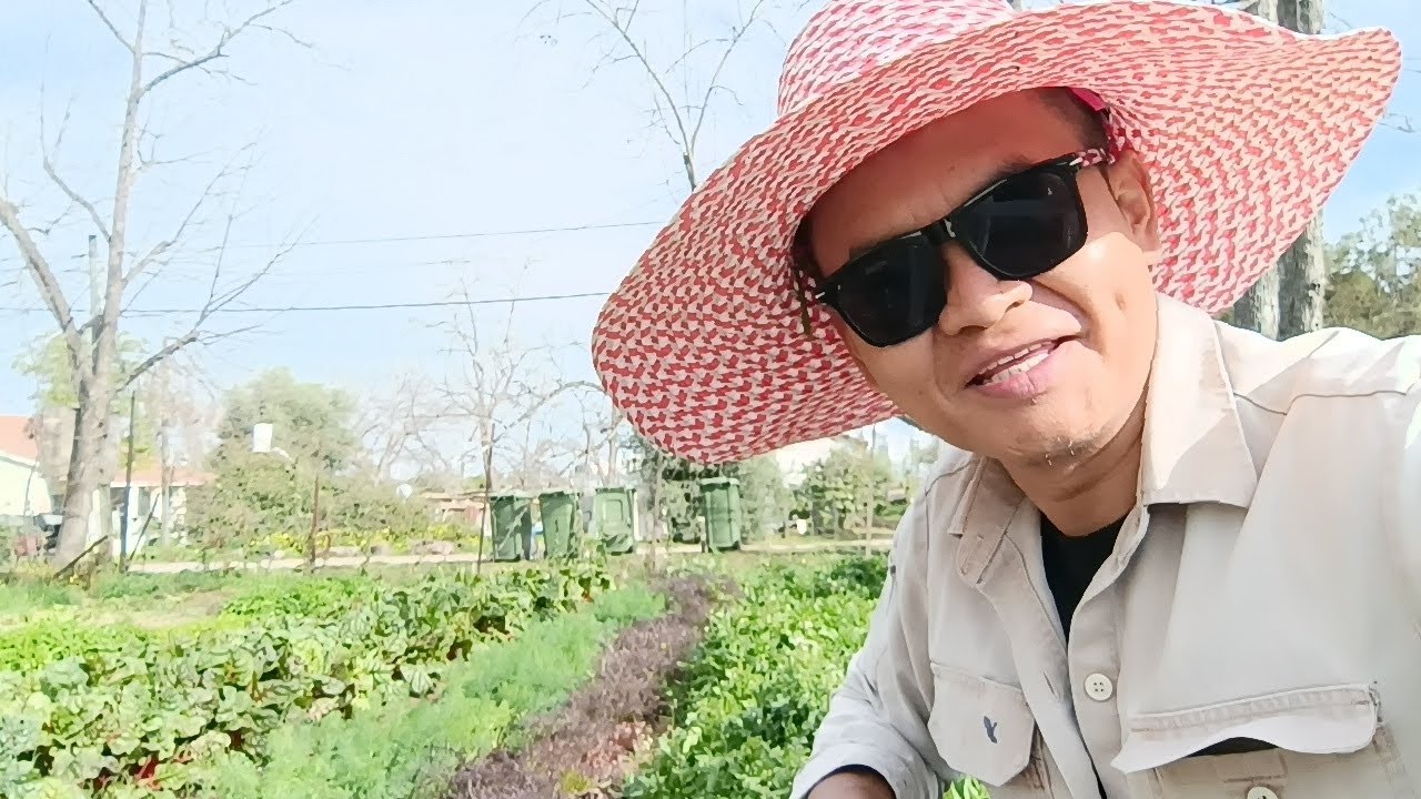 ในภาวะสงคราม แรงงานไทยควรทำอย่างไร