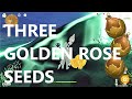 Look for 3 golden rose seeds for freemogems  sumeru  genshin impact 31