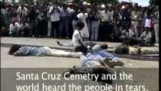 if birds could fly tour 15