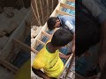 #ঝিলমিল_ঝিলমিল_করে #shortvideo #myvideo #foryou