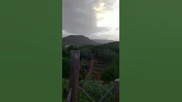 روعة الطبيعة مع نسيم الصباح 