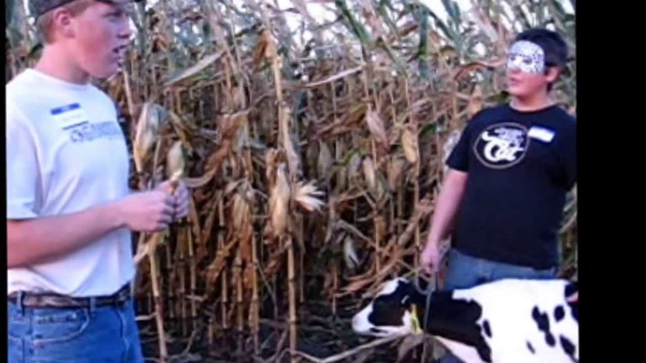 Io myth Greek and Roman Mythology