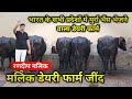 भारत के सभी प्रदेशों में मुर्रा भैंस भेजने वाला डेयरी फार्म Randeep Malik Murra Dairy Farm Jind