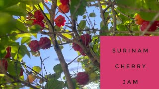 Surinam Cherry Jam