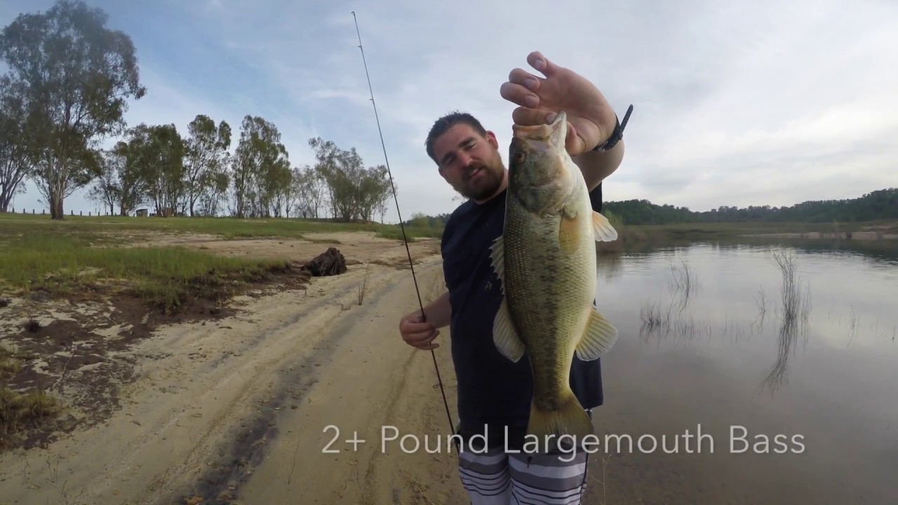 Lake Camanche Bass Fishing 2017