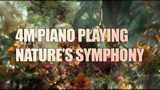 [피아노 연주] 자연의 교향곡