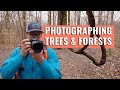 Landscape Photography of Trees & Forests 🌲