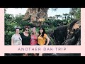 Another DAK Trip // Disney College Program // Episode 5