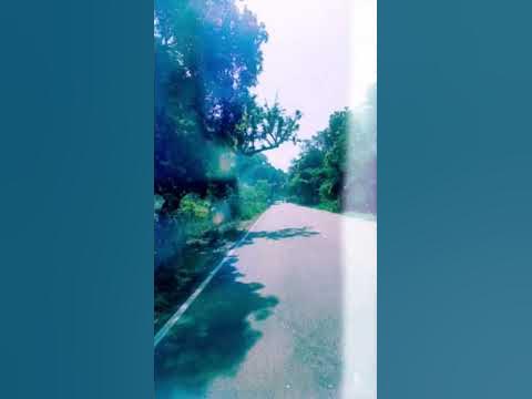 Дикая львица ALEX & RUS - YouTube