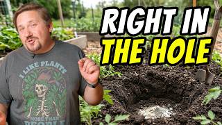 Pepper Planting Mistake | Fertilizer in the Hole—Yes or No?
