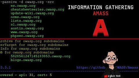 OWASP Amass Tutorial for Beginners | Subdomain Enumeration Made Easy #owasp