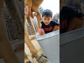choti choti gaiya gytuy g767tu gyyyu #anaya pl lllllk #funny #toyswala #comedy